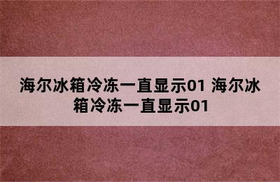 海尔冰箱冷冻一直显示01 海尔冰箱冷冻一直显示01